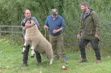 _7816456.jpg _7816456.jpg