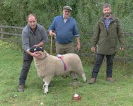 _7816460.jpg _7816460.jpg