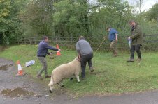 _7816451.jpg _7816451.jpg