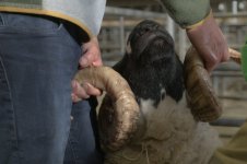 _7816060.jpg _7816060.jpg