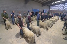 _7820720.jpg _7820720.jpg