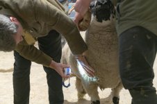 _7816215.jpg _7816215.jpg