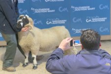 _7816251.jpg _7816251.jpg