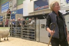 _7816310.jpg _7816310.jpg