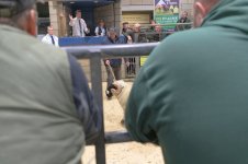 _7816385.jpg _7816385.jpg