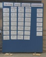 _7816269.jpg _7816269.jpg