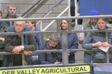 _7816383.jpg _7816383.jpg