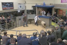 _7816293.jpg _7816293.jpg