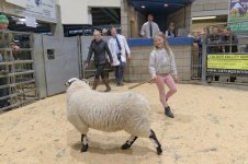 _7820817.jpg _7820817.jpg