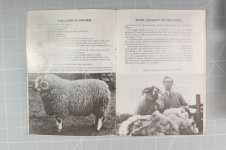 _78O6484.jpg _78O6484.jpg