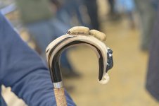 _7816274.jpg _7816274.jpg