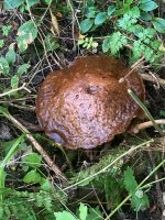 week 39 - Depict a song.jpg