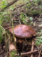 week 39 - Depict a song-2.jpg