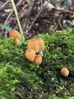 week 39 - Depict a song-4.jpg