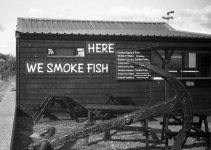 WeSmokeFish.jpg