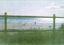 Dogs on Beach enhanced in gimp.jpg