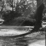 000092620049 copy.jpg