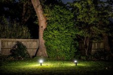 _DSC6577a.jpg _DSC6577a.jpg