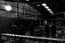 _7816491.jpg _7816491.jpg