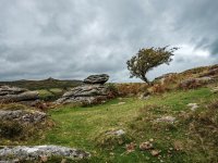 019 Bench Tor 03-0124 PS Adj.JPG