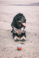 2022_1006_08361100.jpg 2022_1006_08361100.jpg