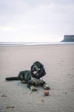 2022_1006_08391100.jpg 2022_1006_08391100.jpg