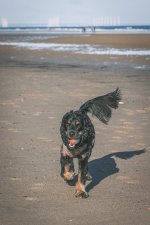 2022_1008_10385700.jpg 2022_1008_10385700.jpg