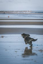 2022_1008_10463000.jpg 2022_1008_10463000.jpg