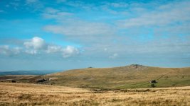 002 Gt Staple Tor 01-9032 PS Adj.JPG