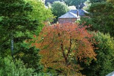 From Multistorey Car Park 02.jpg