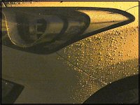 Wet car front wing FZ82 P1000807.jpg