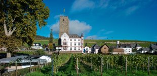 L1010207_DxO-z35b-c.jpg L1010207_DxO-z35b-c.jpg