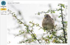 Screenshot 2022-10-26 at 13.11.25.jpg