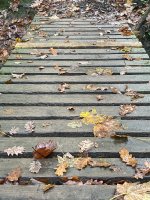 week 42 - Precision.jpg