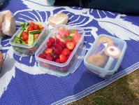 PICNICK.JPG