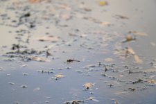 DSC_2164.jpg DSC_2164.jpg