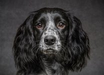 febIOMF1.jpg febIOMF1.jpg