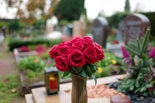 L1010305_DxO-z35d-14.jpg L1010305_DxO-z35d-14.jpg