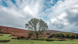 017 Old Vitifer Mine 01-0239 PS Adj.JPG