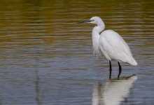 DSC_3887_fb.jpg DSC_3887_fb.jpg