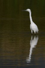 DSC_3958_fb.jpg DSC_3958_fb.jpg