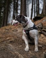 Who Goes There-5.jpg