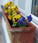 L1008759_DxO-L50s-25-c.jpg L1008759_DxO-L50s-25-c.jpg