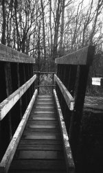 img637sm.jpg img637sm.jpg