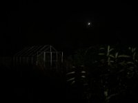 Garden1sec (1 of 4) - B0000056.jpg