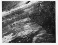 Burnt print 2 Jessops Gr 3 Epson v700,001.jpg