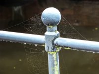 edit webs.jpg edit webs.jpg