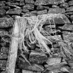 2022-7-25 Edmundbyers, 124G, FP4, EI200, HRDEV 1-35,011.jpg 2022-7-25 Edmundbyers, 124G, FP4, EI200, HRDEV 1-35,011.jpg