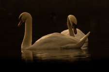 dsfafr.jpg dsfafr.jpg