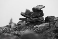 P1024602 edited (Custom).jpg